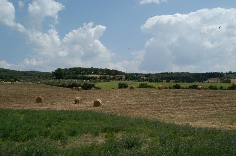 BIBBONA CAMPAGNA